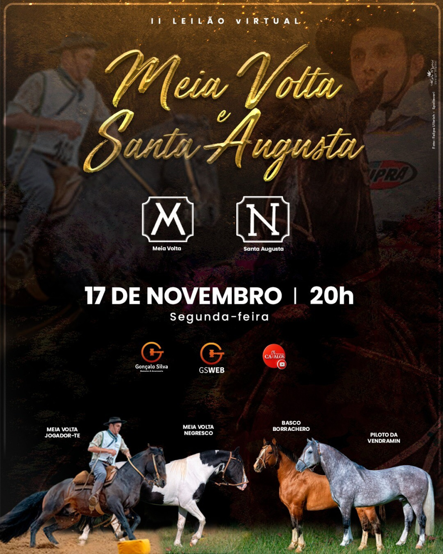 LEILÃO VIRTUAL CABANHA MEIA VOLTA E ESTÂNCIA SANTA AUGUSTA