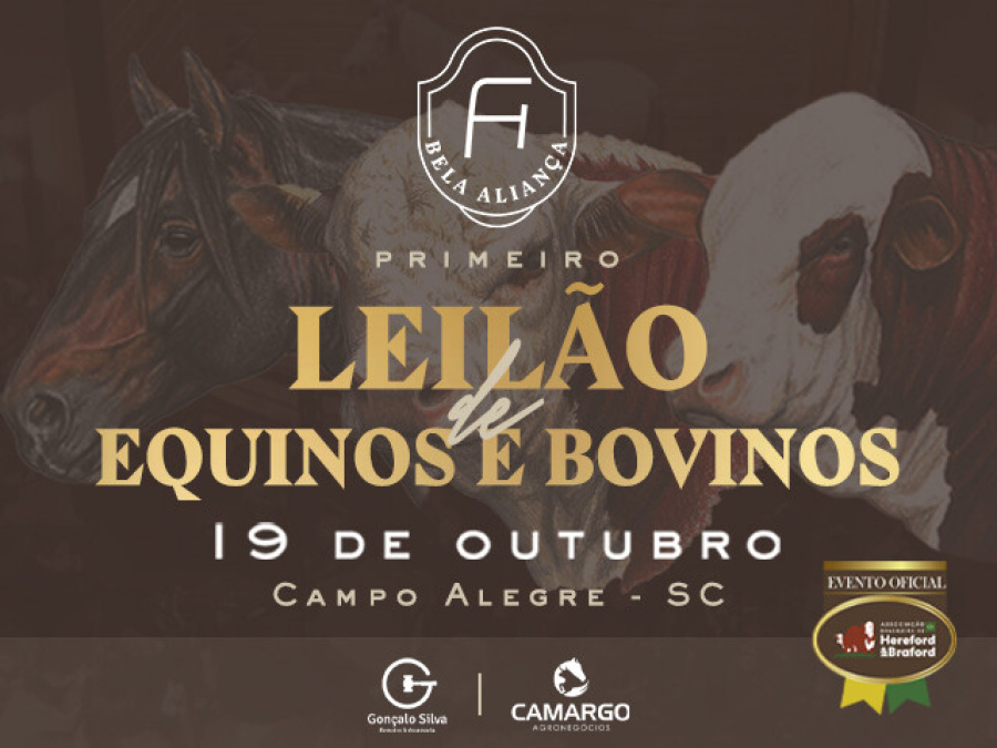LEILÃO BELA ALIANÇA - Crioulos, Hereford e Braford