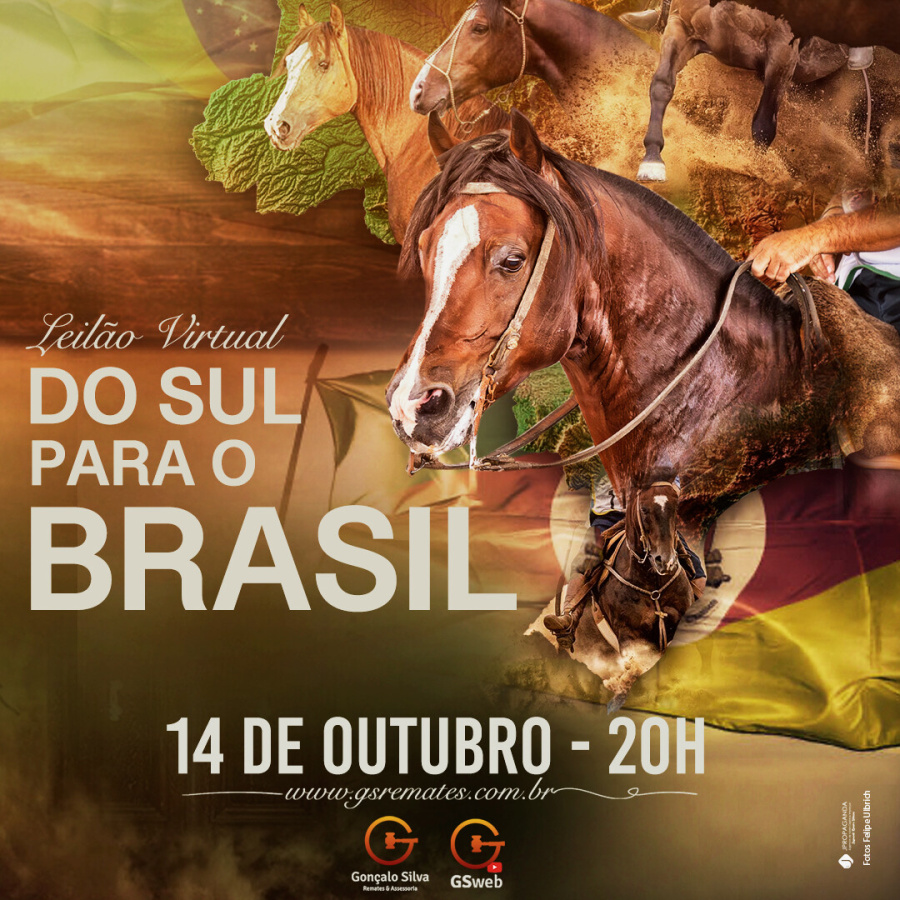 LEILÃO VIRTUAL DO SUL PARA O BRASIL 