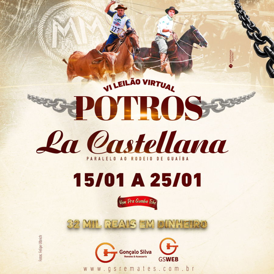 VI LEILAO DE POTROS LA CASTELLANA - VEM PRA GUAIBA TCHE