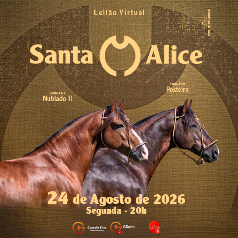 LEILÃO VIRTUAL CABANHA SANTA ALICE 