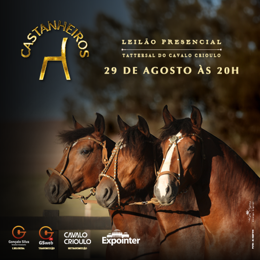 LEILÃO PRESENCIAL CABANHA DOS CASTANHEIROS