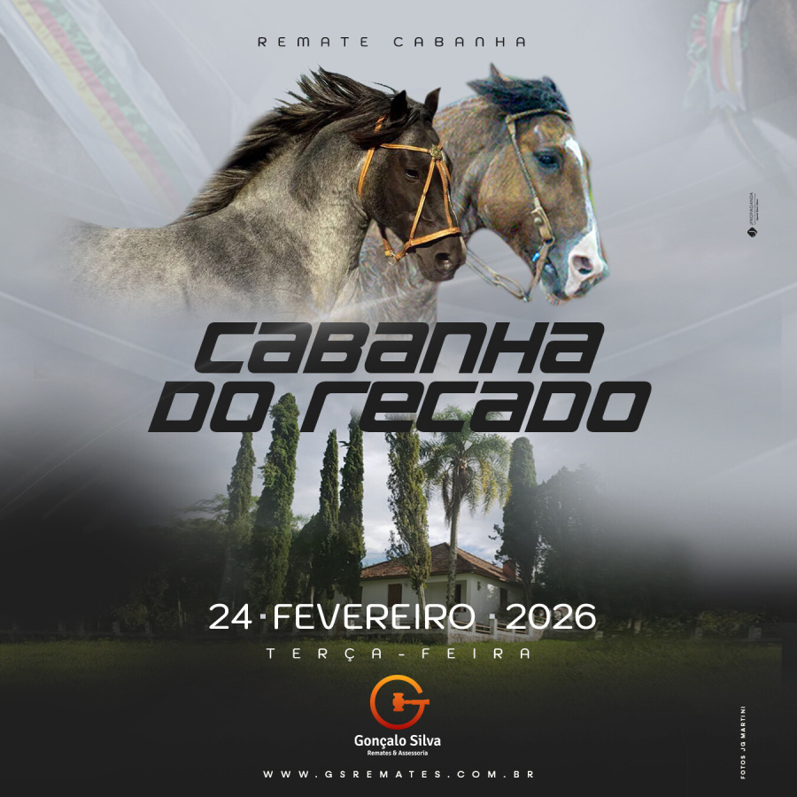 LEILÃO VIRTUAL CABANHA DO RECADO