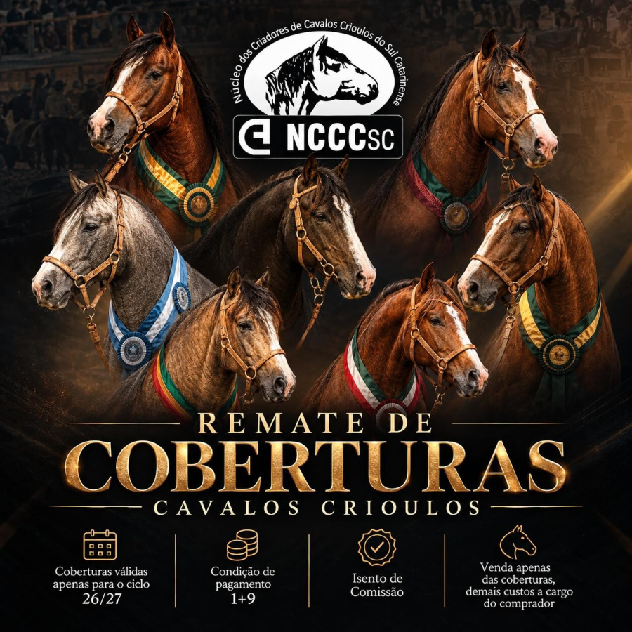 LEILÃO DIGITAL NCCC DO SUL CATARINENSE