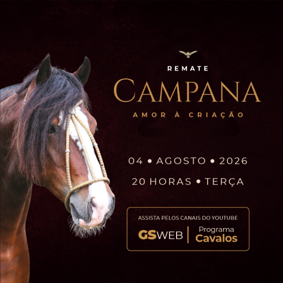 LEILÃO VIRTUAL CABANHA CAMPANA