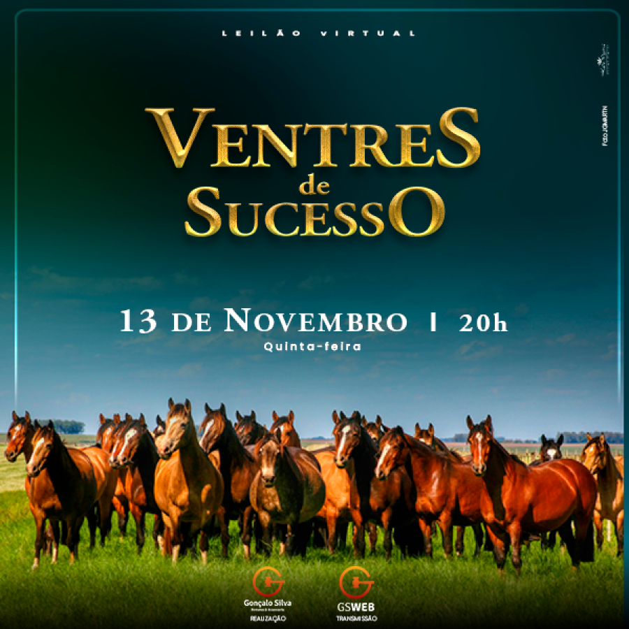 LEILÃO VIRTUAL VENTRES DE SUCESSO