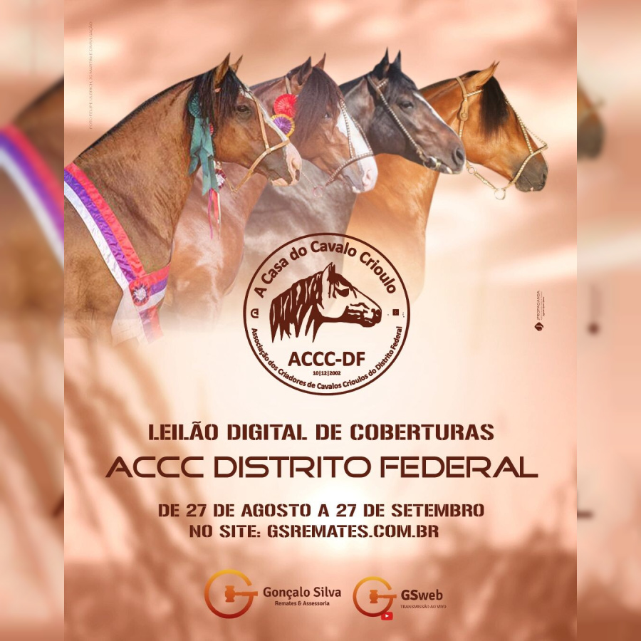 LEILÃO DIGITAL DE COBERTURAS ACCC DISTRITO FEDERAL