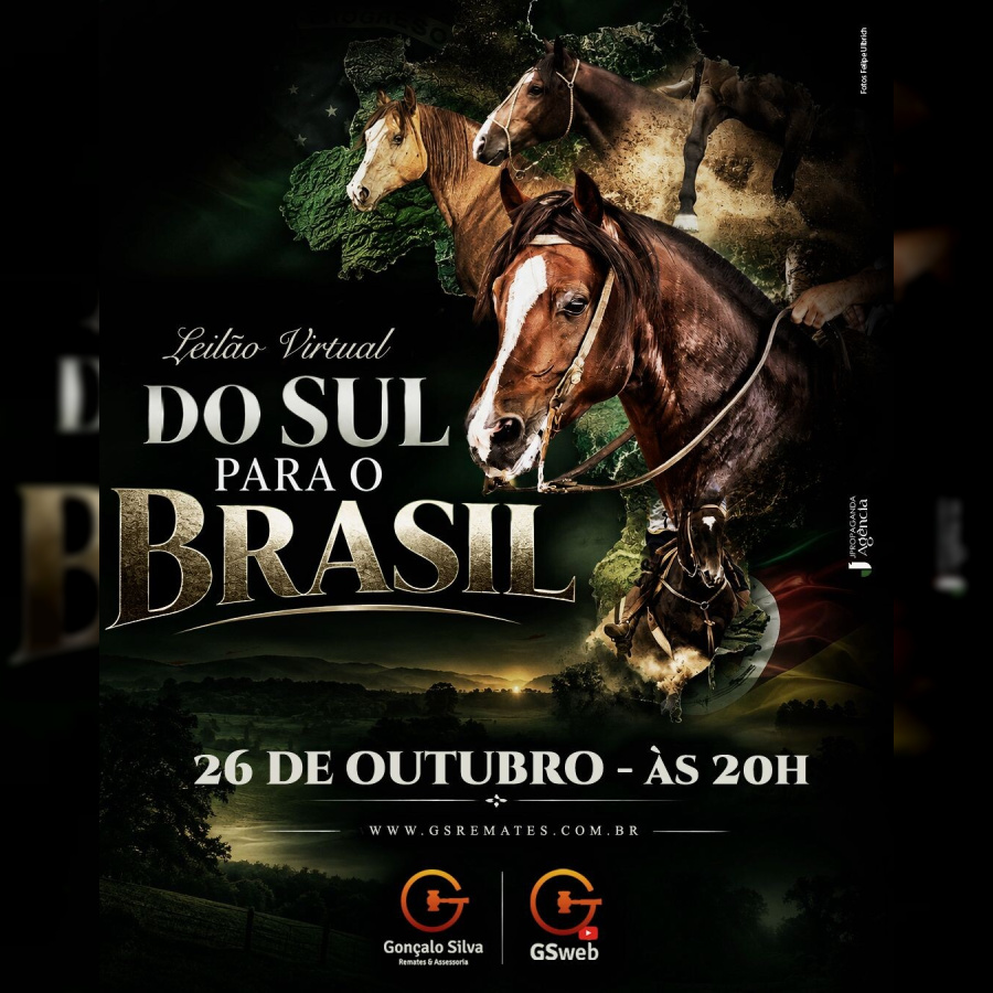 LEILÃO VIRTUAL DO SUL PARA O BRASIL