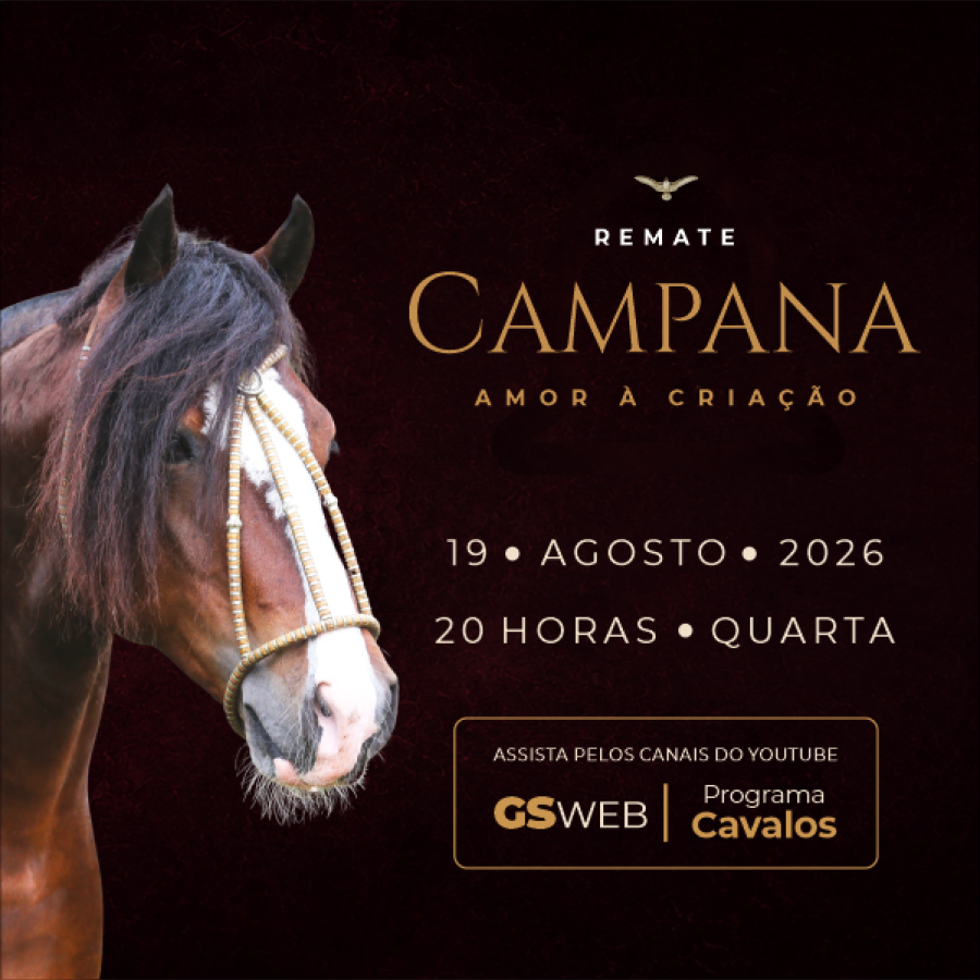LEILÃO VIRTUAL CABANHA CAMPANA