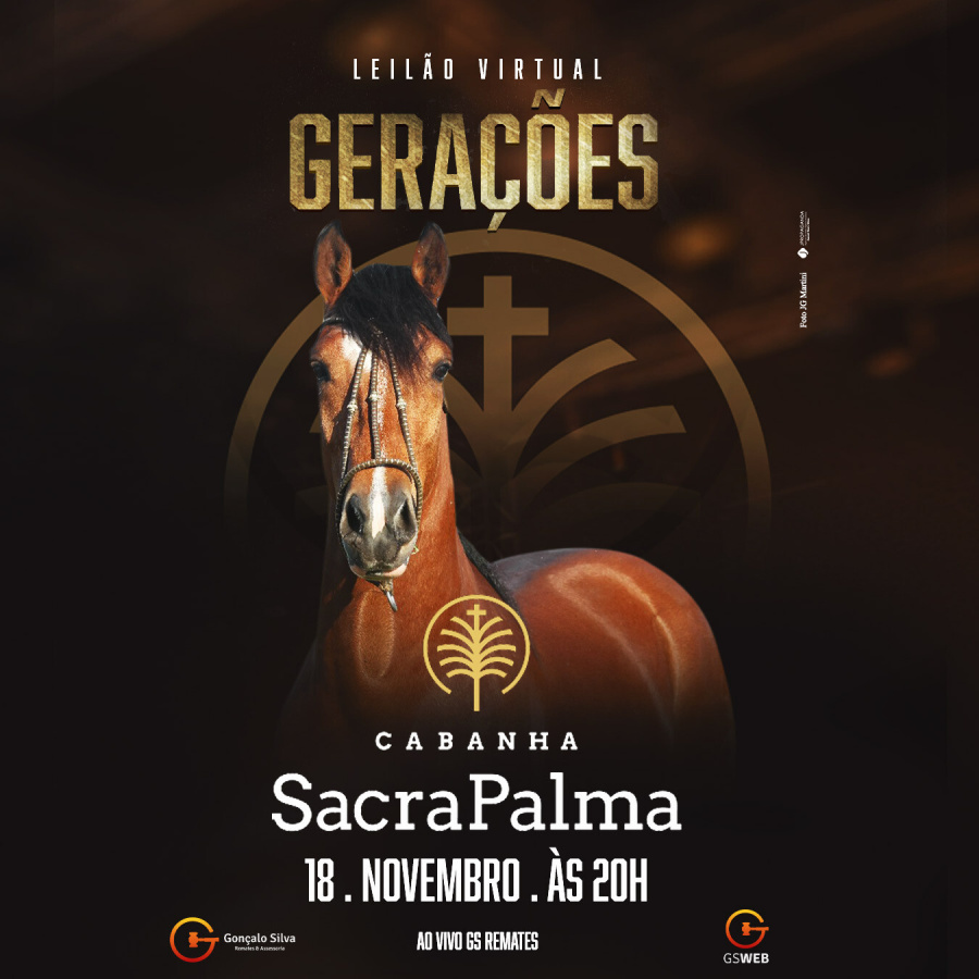 LEILÃO VIRTUAL CABANHA SACRAPALMA