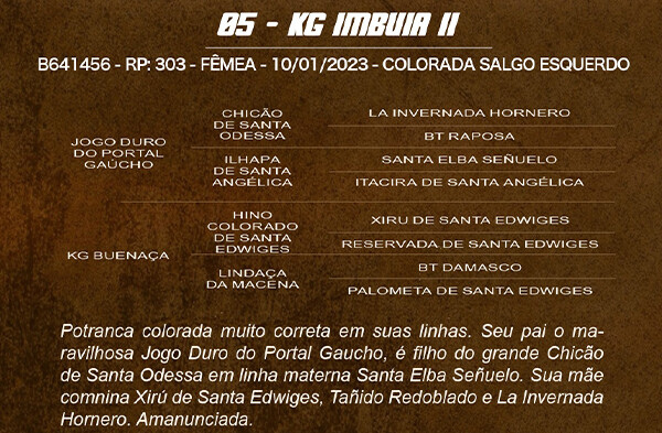 Geração KG IMBUIA II