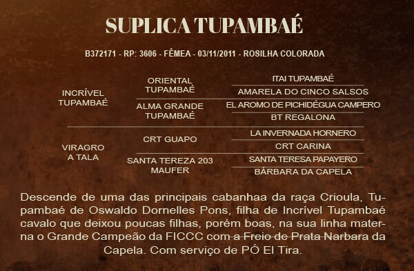 Geração SUPLICA TUPAMBAÉ 