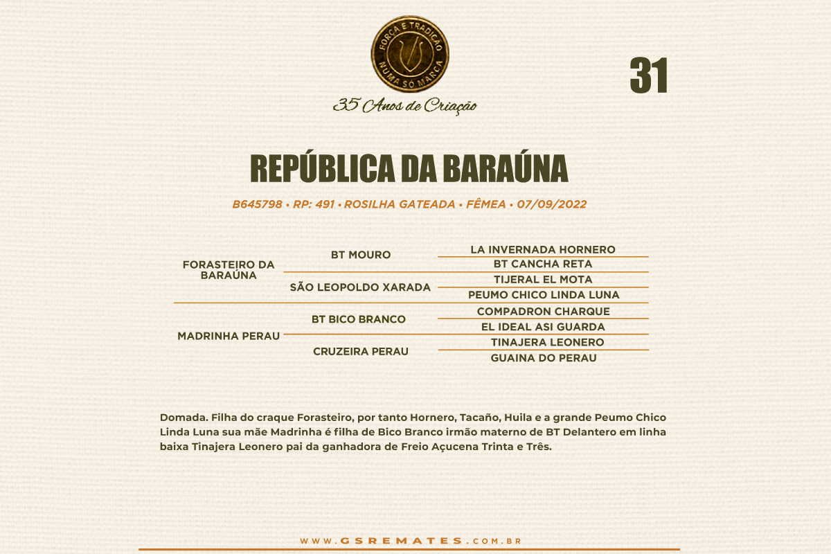 Geração REPÚBLICA DA BARAÚNA