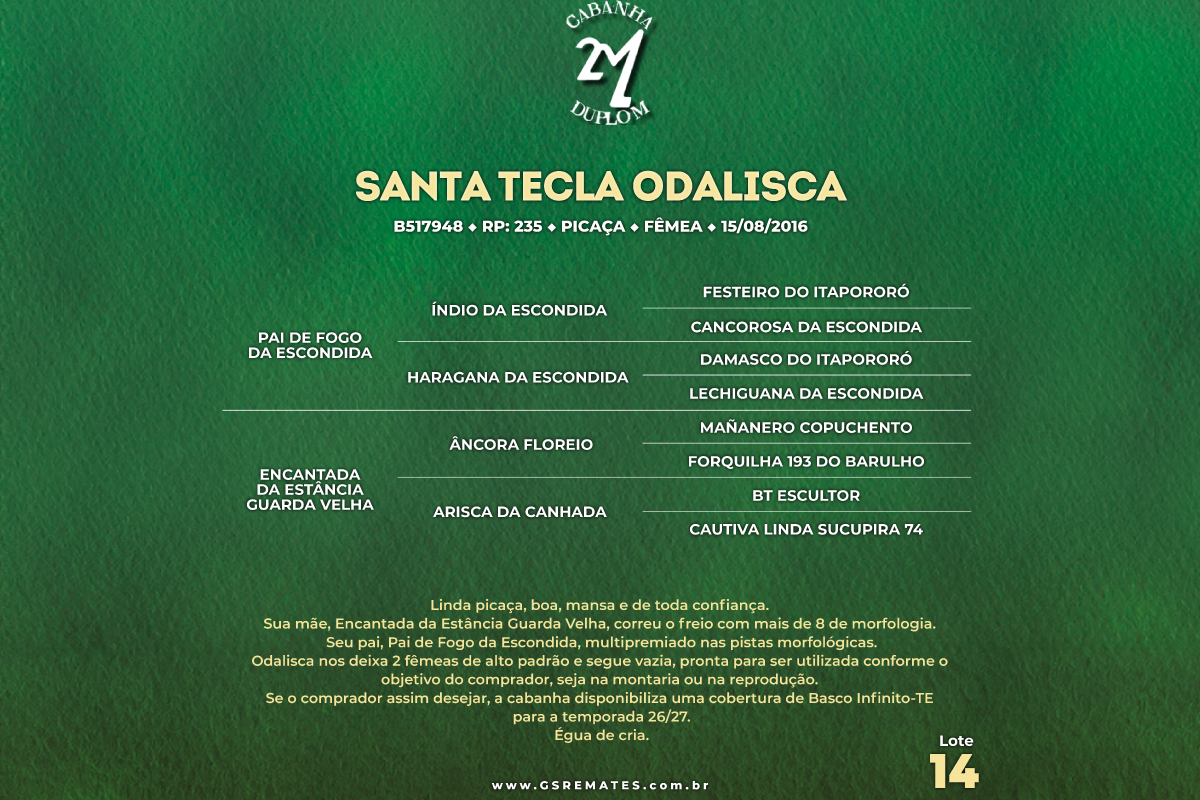 Geração SANTA TECLA ODALISCA