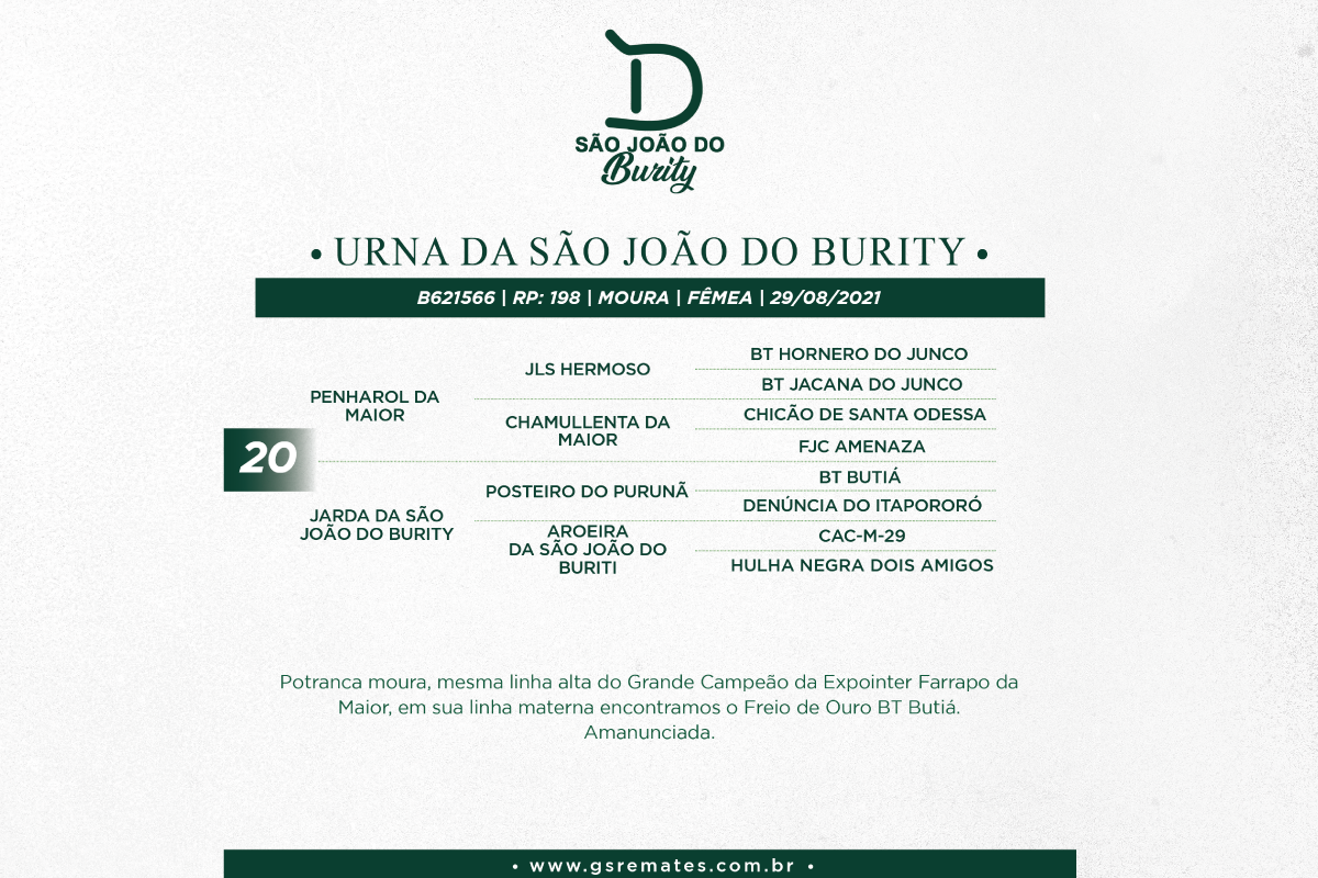 Geração URNA DA SÃO JOÃO DO BURITY
