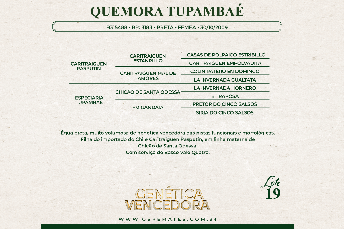 Geração QUEMORA TUPAMBAÉ