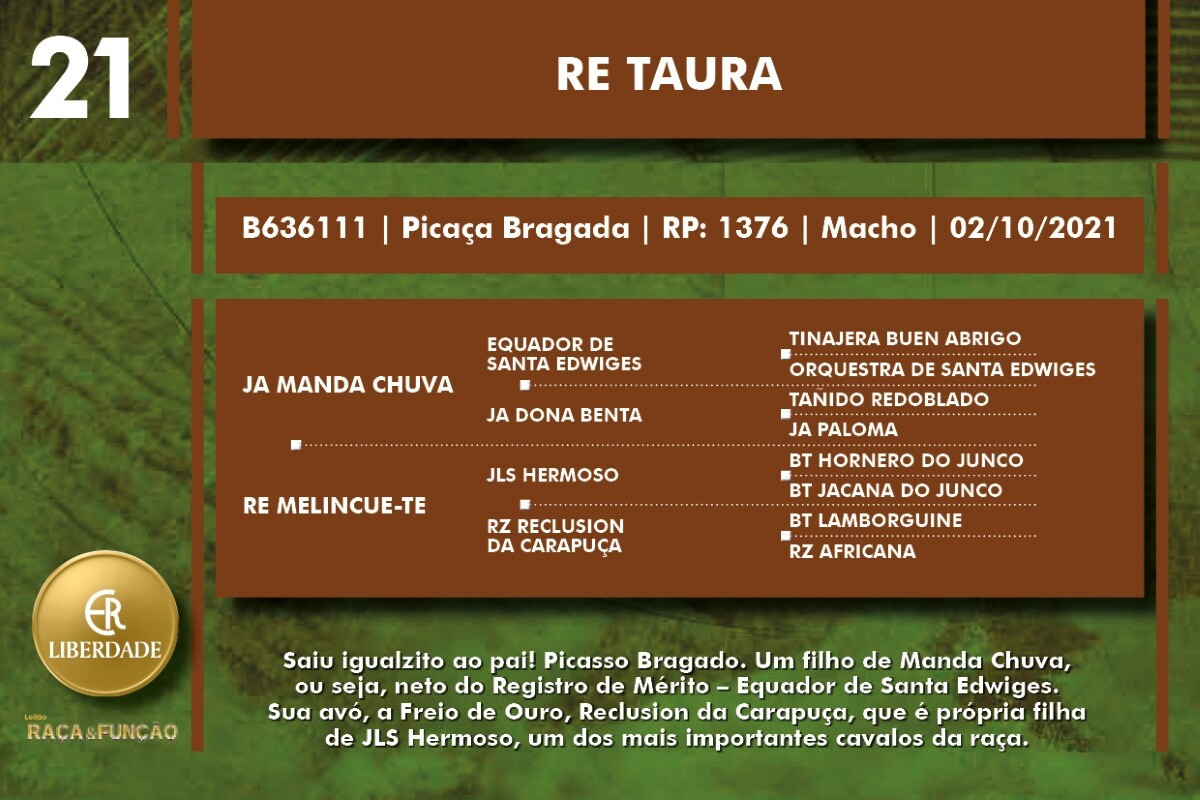 Geração RE TAURA