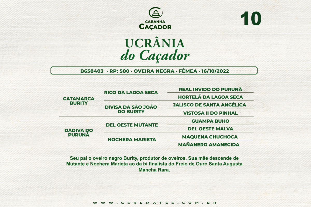 Geração UCRANIA DO CAÇADOR 