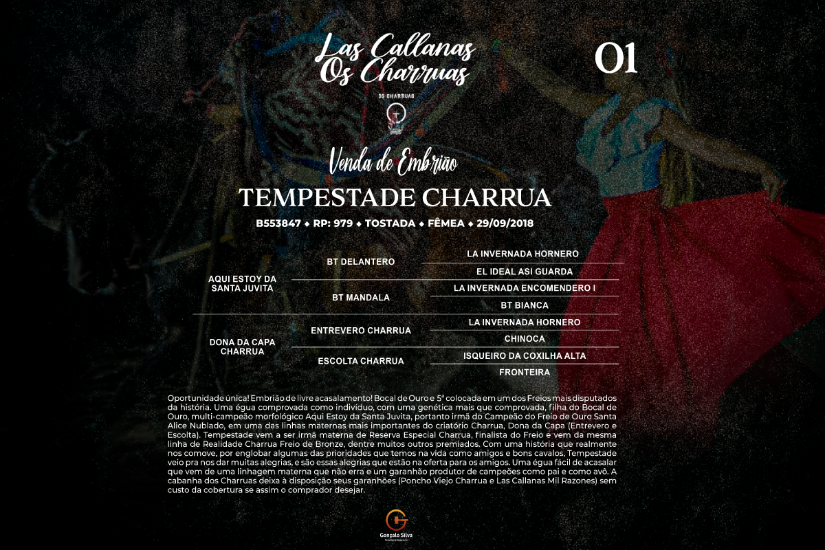 Geração TEMPESTADE CHARRUA - VENDA DO EMBRIÃO