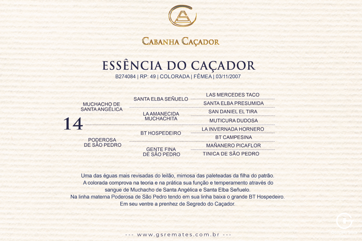 Geração ESSÊNCIA DO CAÇADOR 