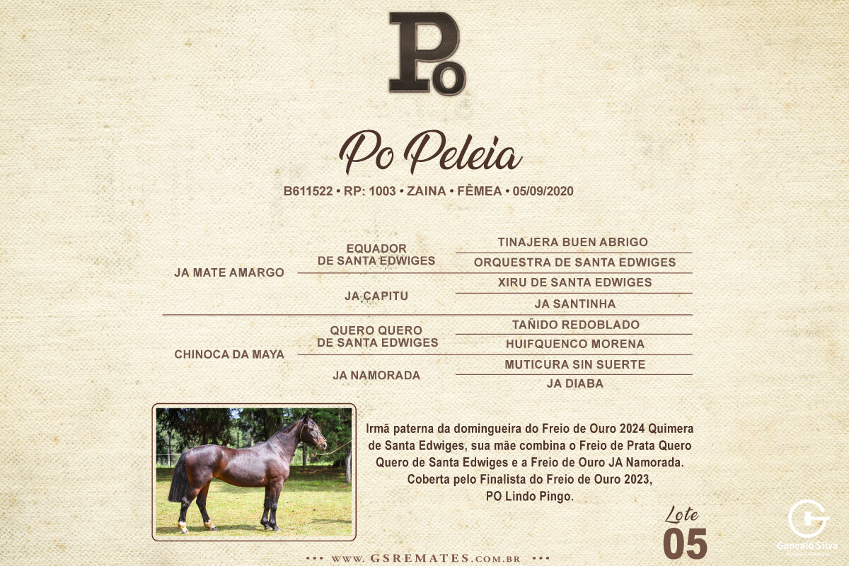 Geração PO PELEIA