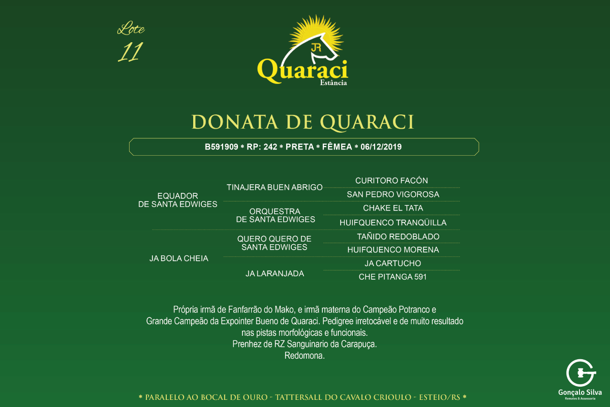Geração DONATA DE QUARACI