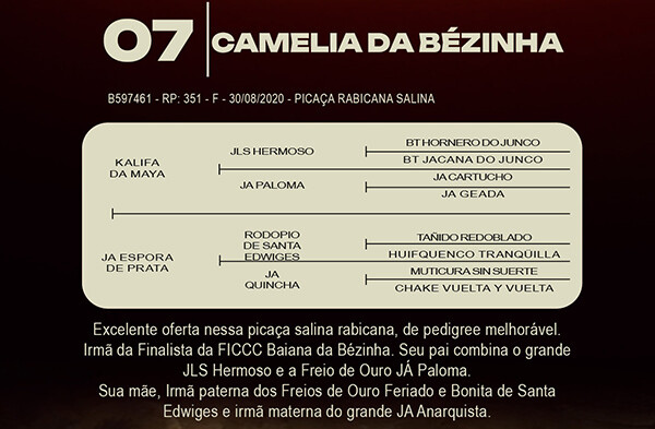 Geração CAMELIA DA BEZINHA