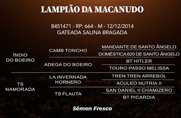 Geração LAMPIÃO DA MACANUDO
