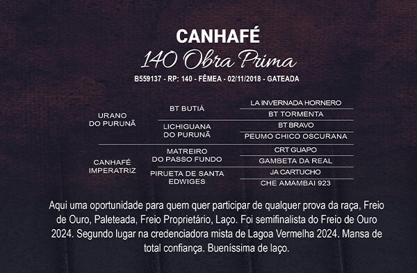 Geração CANHAFÉ 140 OBRA PRIMA