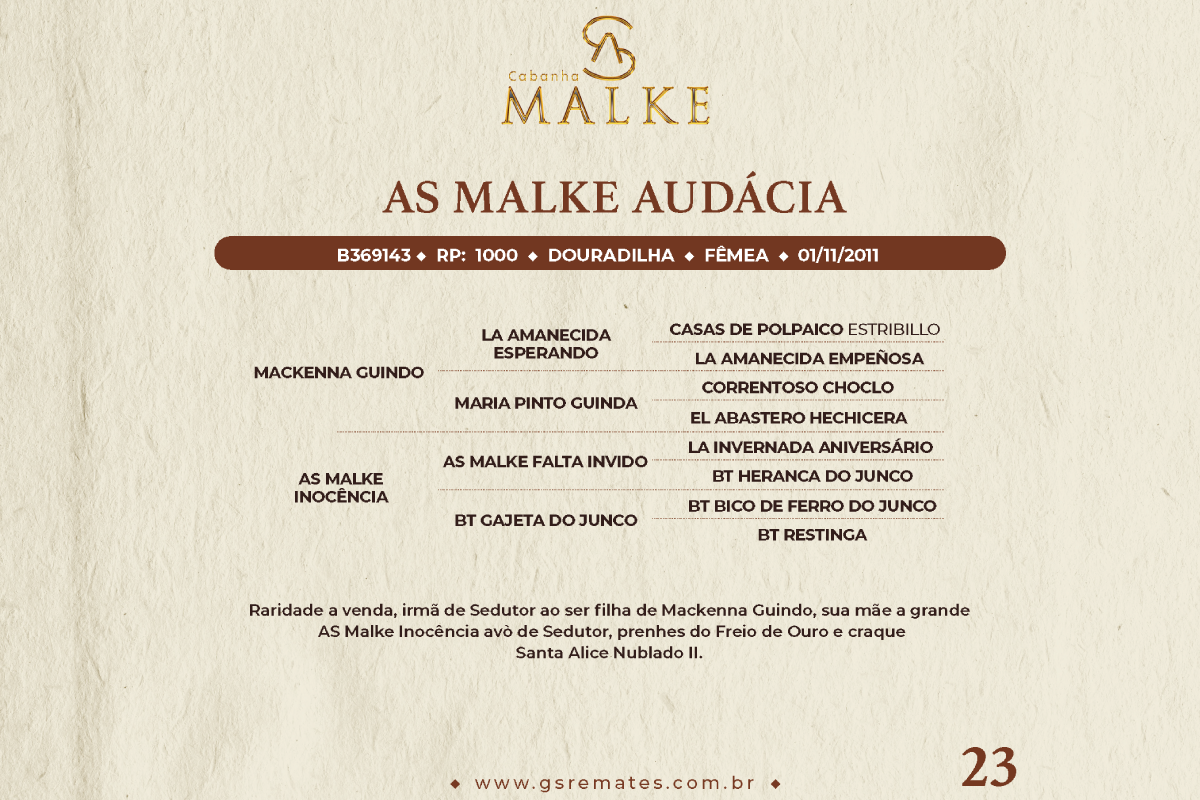 Geração AS MALKE AUDÁCIA