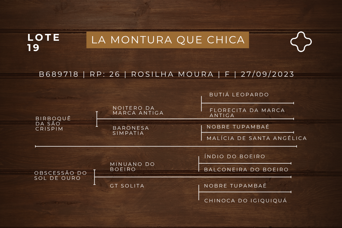 Geração LA MONTURA QUE CHICA