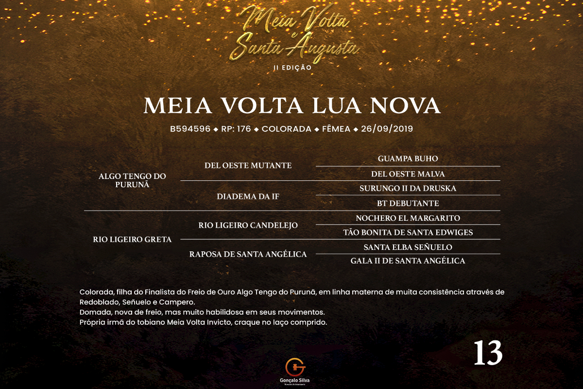 Geração MEIA VOLTA LUA NOVA