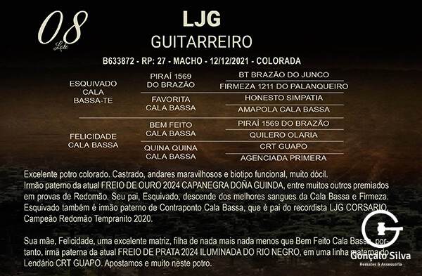 Geração LJG GUITARRERO