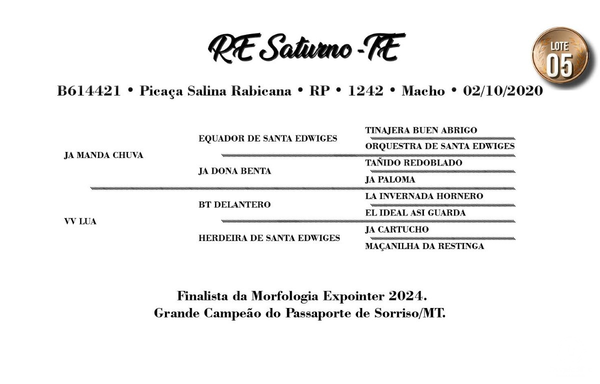 Geração RE SATURNO-TE