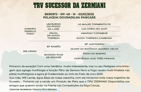 Geração TRV SUCESSOR DA ZERMIANI 