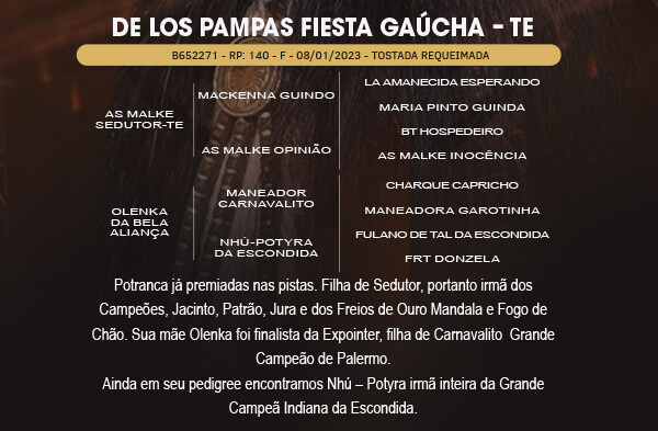 Geração DE LOS PAMPAS FIESTA GAÚCHA - TE