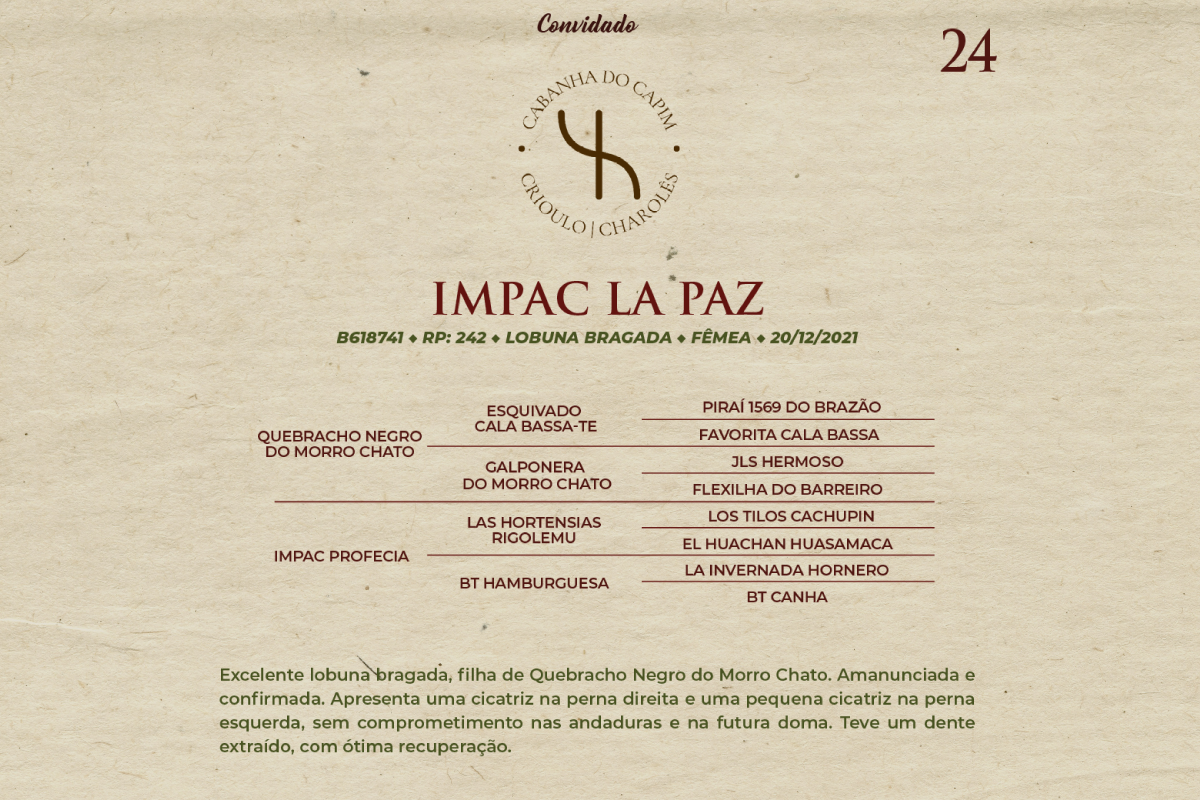 Geração IMPAC LA PAZ