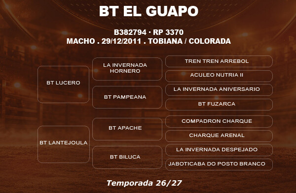 Geração COBERTURA BT EL GUAPO 