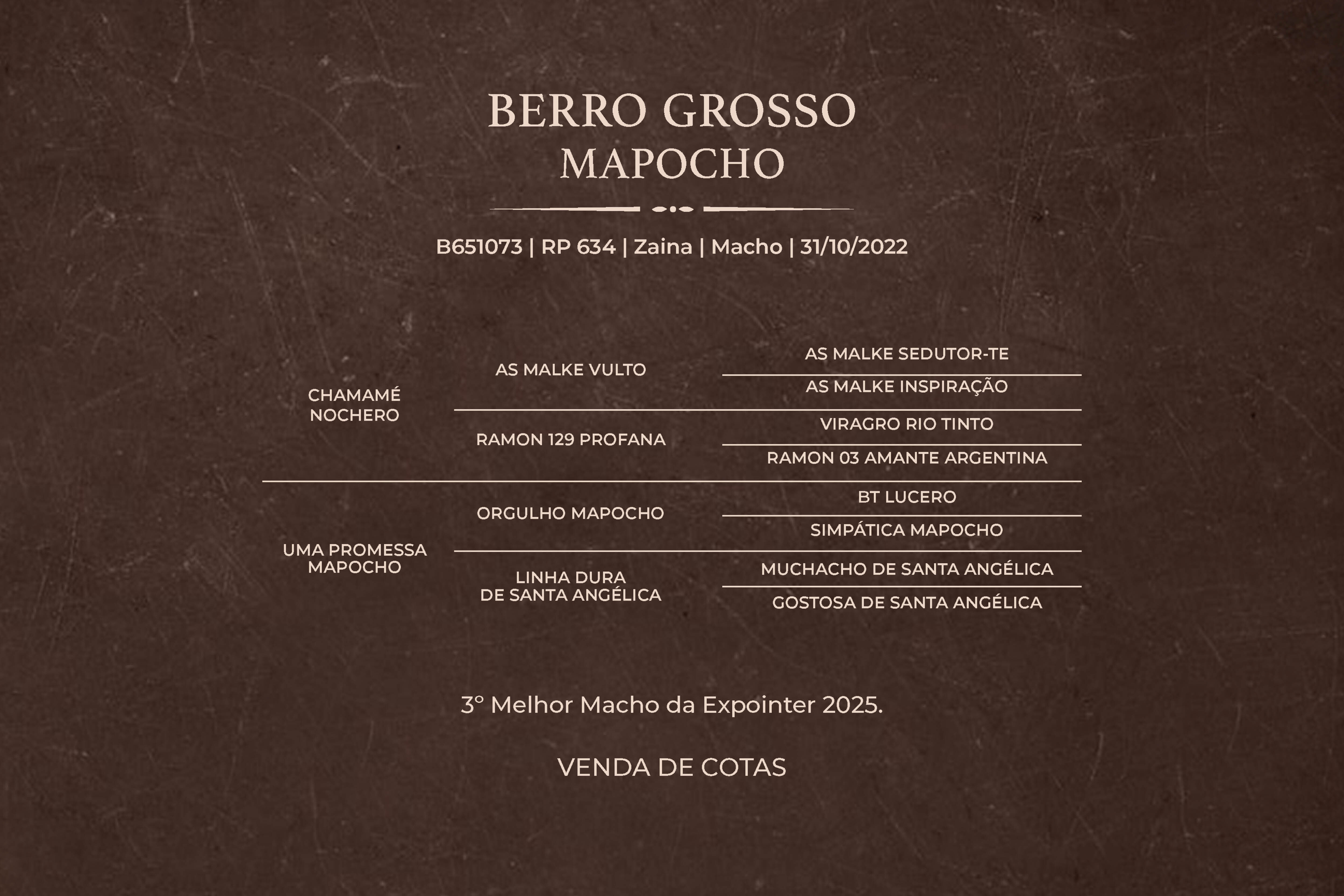 Geração BERRO GROSSO MAPOCHO - Venda de cotas
