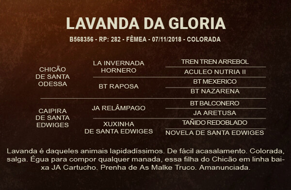 Geração LAVANDA DA GLORIA