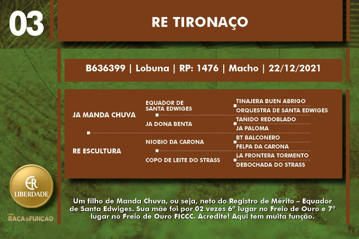 Geração RE TIRONAÇO