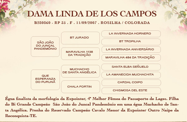 Geração DAMA LINDA DE LOS CAMPOS 