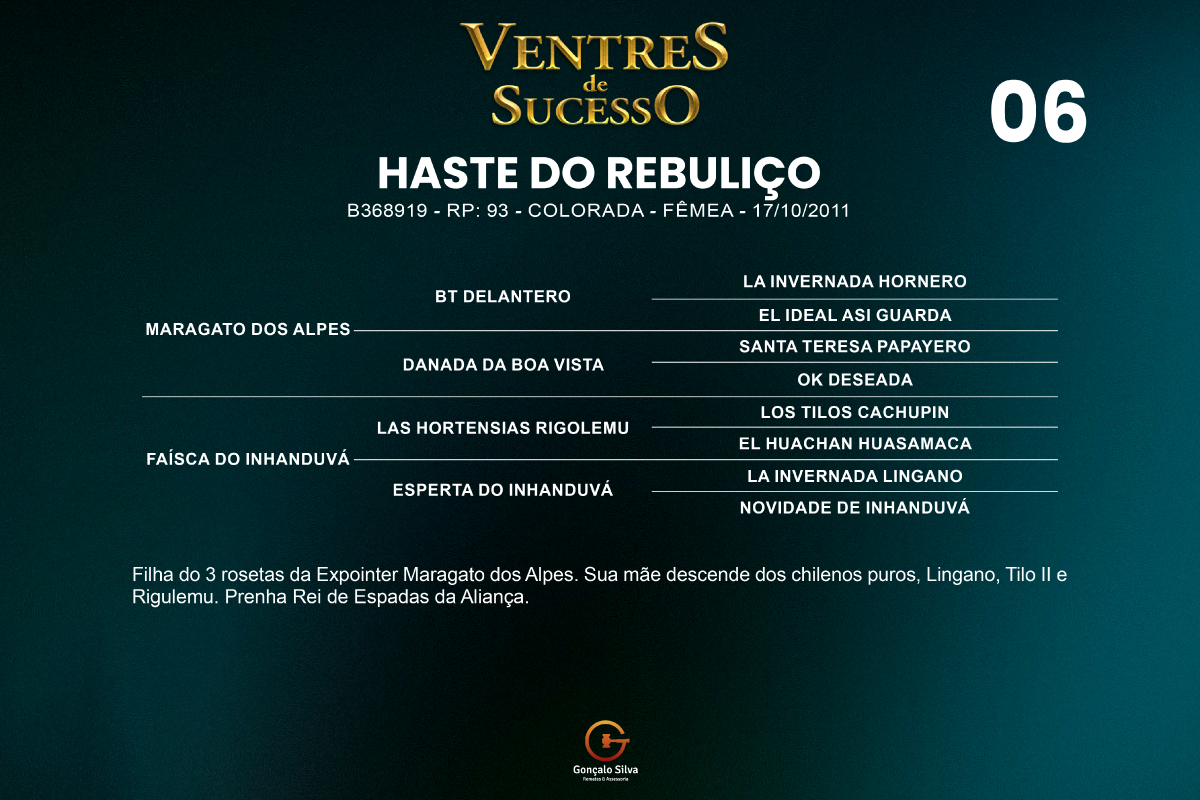 Geração HASTE DO REBULIÇO 