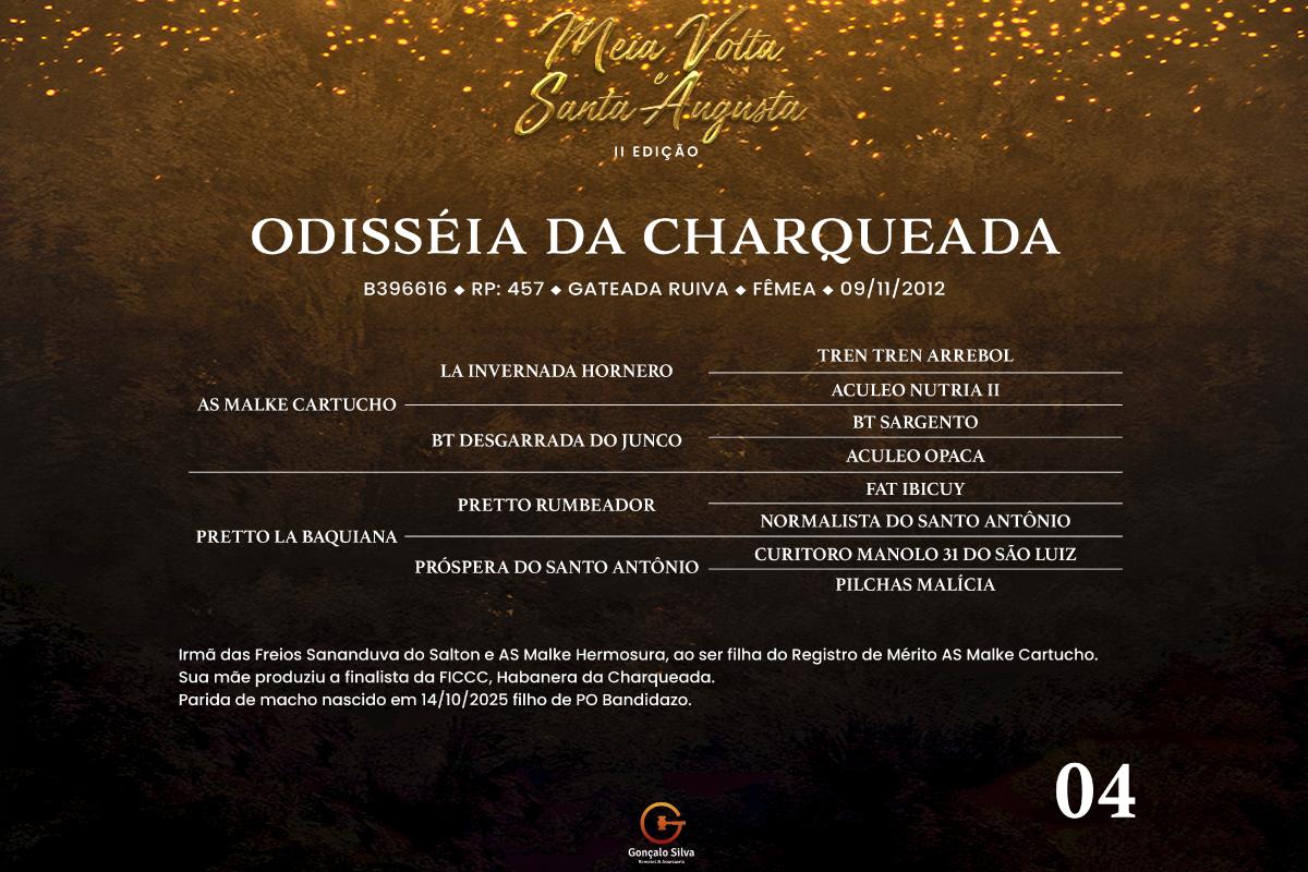 Geração ODISSÉIA DA CHARQUEADA