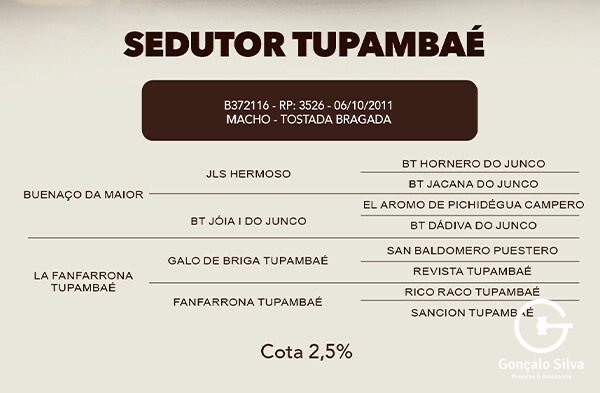 Geração COTA DE  2,5%  SEDUTOR TUPAMBAÉ