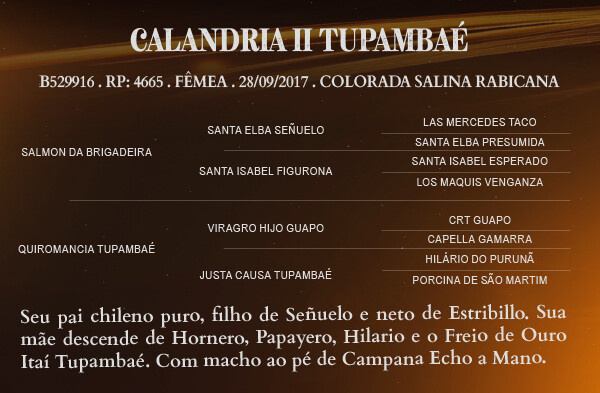 Geração CALANDRIA II TUPAMBAE 