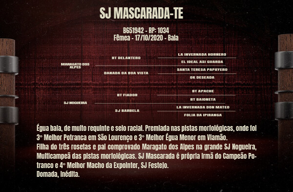 Geração SJ MASCARADA-TE