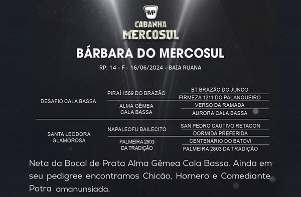 Geração BARBARA DO MERCOSUL