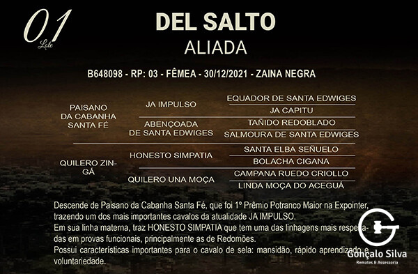 Geração DEL SALTO ALIADA