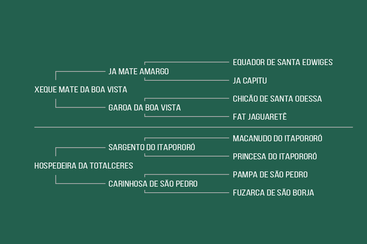 Geração HOSPEDEIRA DA BOA VISTA